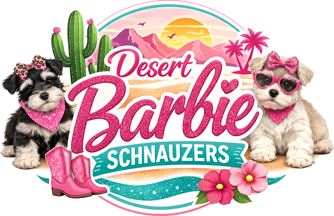 Desert Barbie Schnauzers
